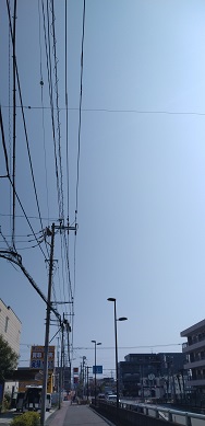 {̎ʐ^