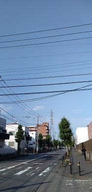 {̎ʐ^