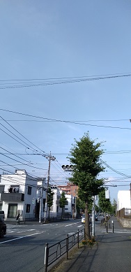 {̎ʐ^