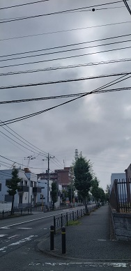 {̎ʐ^