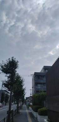 {̎ʐ^