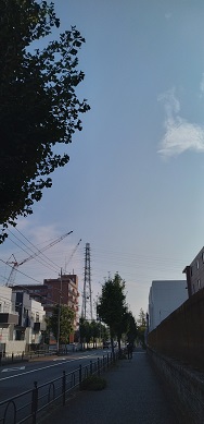 {̎ʐ^