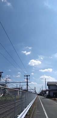 {̎ʐ^