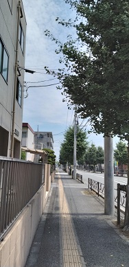 �{���̎ʐ^